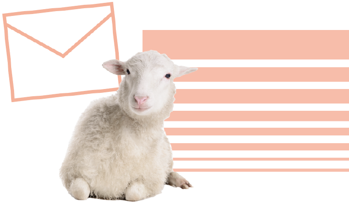 newsletter bild schaf blattin newsletter bild schaf blattin